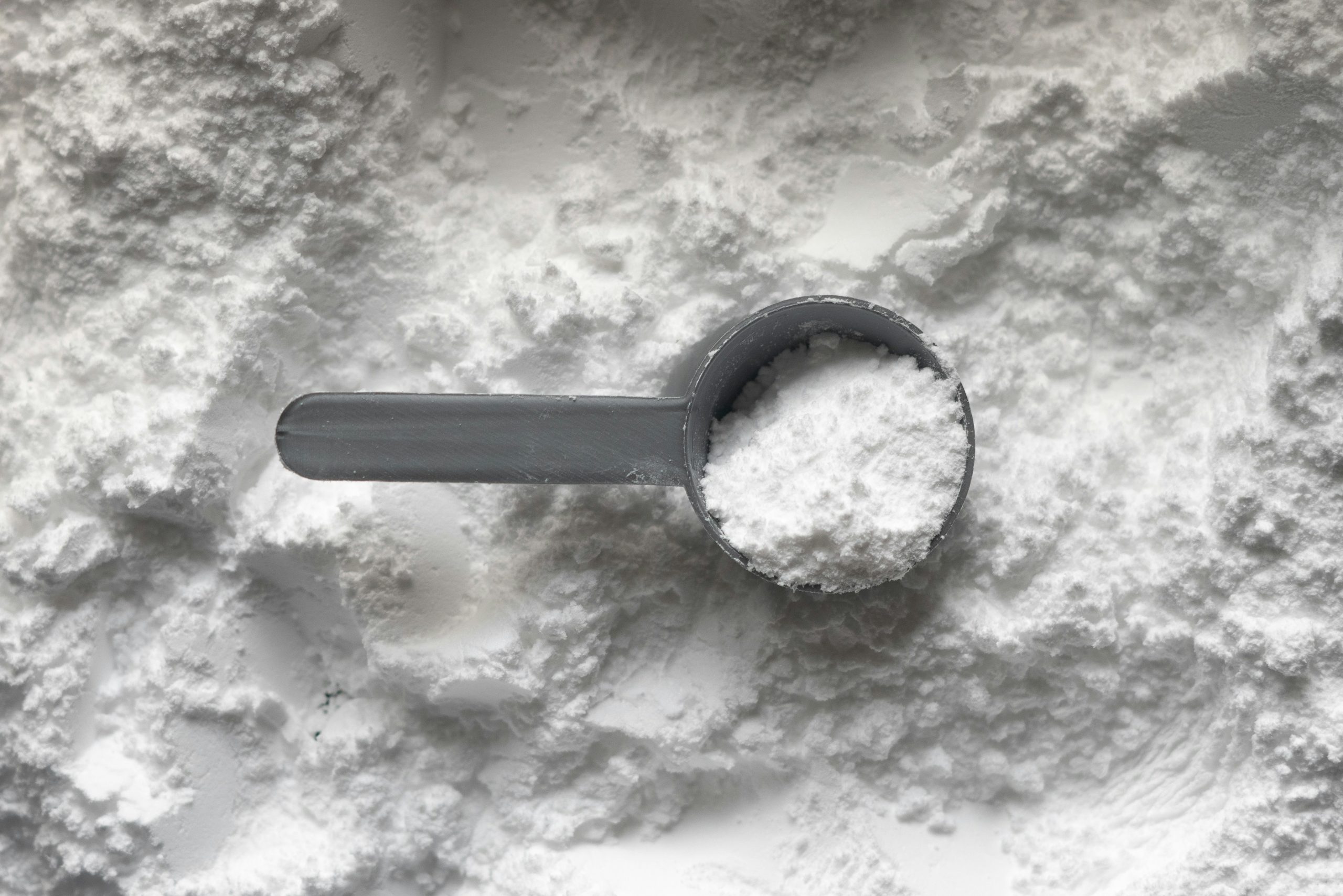 “Scoop of creatine monohydrate powder next to a shaker on a gym bench”